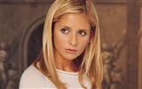 Sarah Michelle Gellar 莎拉·米歇爾·蓋拉 美女壁紙(一) #30