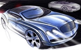 Bentley Continental GTC - 2006 宾利26