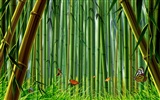 Colorido fondo de pantalla pintados a mano ecología del paisaje (1) #3