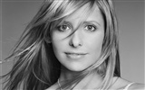 Sarah Michelle Gellar beautiful wallpaper (2) #3