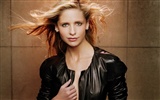 Sarah Michelle Gellar beautiful wallpaper (2) #28