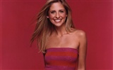 Sarah Michelle Gellar 莎拉·米歇爾·蓋拉 美女壁紙(二) #30