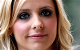 Sarah Michelle Gellar 莎拉·米歇爾·蓋拉 美女壁紙(二) #31