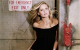 Sarah Michelle Gellar 莎拉·米歇爾·蓋拉 美女壁紙(二) #35