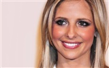 Sarah Michelle Gellar 莎拉·米歇爾·蓋拉 美女壁紙(二) #35