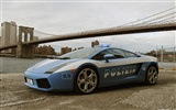 Lamborghini Gallardo Policía - 2005 fondos de escritorio de alta definición #2