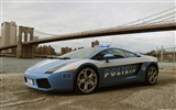 Lamborghini Gallardo Police - 2005 HD wallpaper #2