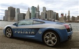 Lamborghini Gallardo Police - 2005 HD Wallpaper #3