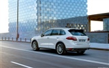 Porsche Cayenne S Hybrid - 2010 HD wallpaper #3