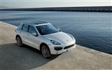 Porsche Cayenne S Hybrid - 2010 HD Wallpaper #7