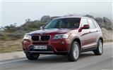 BMW X3 xDrive20d - 2010 (1) #24