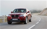 BMW X3 xDrive20d - 2010 (1) #29