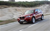 BMW는 X3는 xDrive20d - 2010 (1) #30