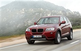 BMW는 X3는 xDrive20d - 2010 (1) #33