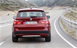 BMW X3 xDrive20d - 2010 (1) #38