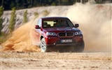 BMW X3 xDrive20d - 2010 宝马(二)10