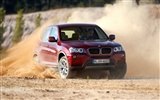 BMW X3 xDrive20d - 2010 寶馬(二) #11