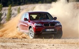 BMW X3 xDrive20d - 2010 (2) #11