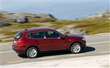 BMW X3 xDrive20d - 2010 寶馬(二) #18