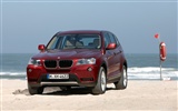 BMW X3 xDrive20d - 2010 (2) #20