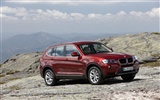BMW X3 xDrive20d - 2010 寶馬(二) #29
