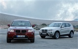 BMW X3 xDrive20d - 2010 (2) #35