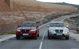 BMW X3 xDrive20d - 2010 寶馬(二) #37