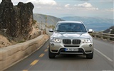 BMW는 X3는 xDrive35i - 2010 (1) #36