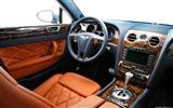 Bentley Continental Flying Spur Speed - 2008 宾利23