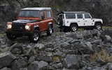 Land Rover fonds d'écran 2011 (1) #19