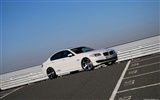 AC Schnitzer BMW serie 5 F10 - 2010 fondos de escritorio de alta definición #2