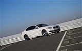 교류 Schnitzer BMW의 5 시리즈 F10을 - 2010의 HD 벽지 #2