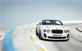 Bentley Continental Supersports Convertible - 2010 HD wallpaper