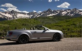Bentley Continental Supersports Cabrio - 2010 HD Wallpaper #5