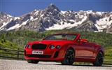 Bentley Continental Supersports Convertible - 2010 fondos de escritorio de alta definición #7