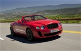 Bentley Continental Supersports Cabrio - 2010 HD Wallpaper #8