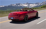 Bentley Continental Supersports Convertible - 2010 fonds d'écran HD #9