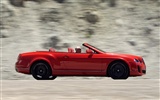 Bentley Continental Supersports Cabrio - 2010 HD Wallpaper #10