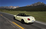 Bentley Continental Supersports Convertible - 2010 fondos de escritorio de alta definición #13