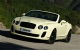 Bentley Continental Supersports Convertible - 2010 fondos de escritorio de alta definición #14
