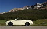 Bentley Continental Supersports Convertible - 2010 fonds d'écran HD #15