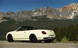 Bentley Continental Supersports Cabrio - 2010 HD Wallpaper #16