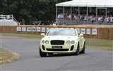 Bentley Continental Supersports Convertible - 2010 fondos de escritorio de alta definición #19