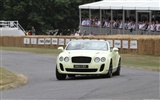 Bentley Continental Supersports Convertible - 2010 fonds d'écran HD #19