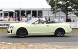 Bentley Continental Supersports Convertible - 2010 宾利21