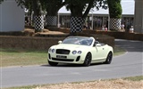 Bentley Continental Supersports Cabrio - 2010 HD Wallpaper #22