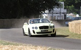 Bentley Continental Supersports Convertible - 2010 fondos de escritorio de alta definición #23