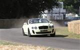 Bentley Continental Supersports Convertible - 2010 fonds d'écran HD #23