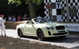 Bentley Continental Supersports Convertible - 2010 HD wallpaper #25