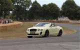 Bentley Continental Supersports Convertible - 2010 fondos de escritorio de alta definición #26
